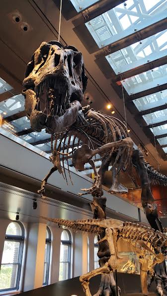 Natural History Museum, Los Angeles, CA. Photo credit: Bruce Edwin, 2024